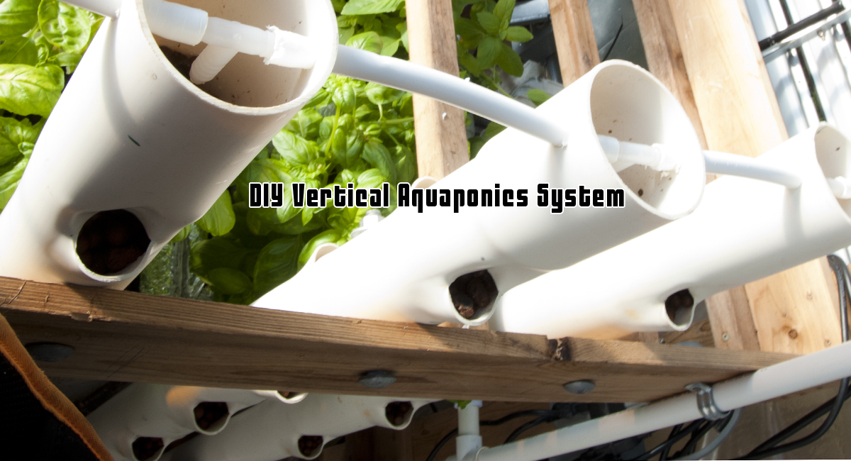 DIY Vertical Aquaponics System - GROZINEGROZINE