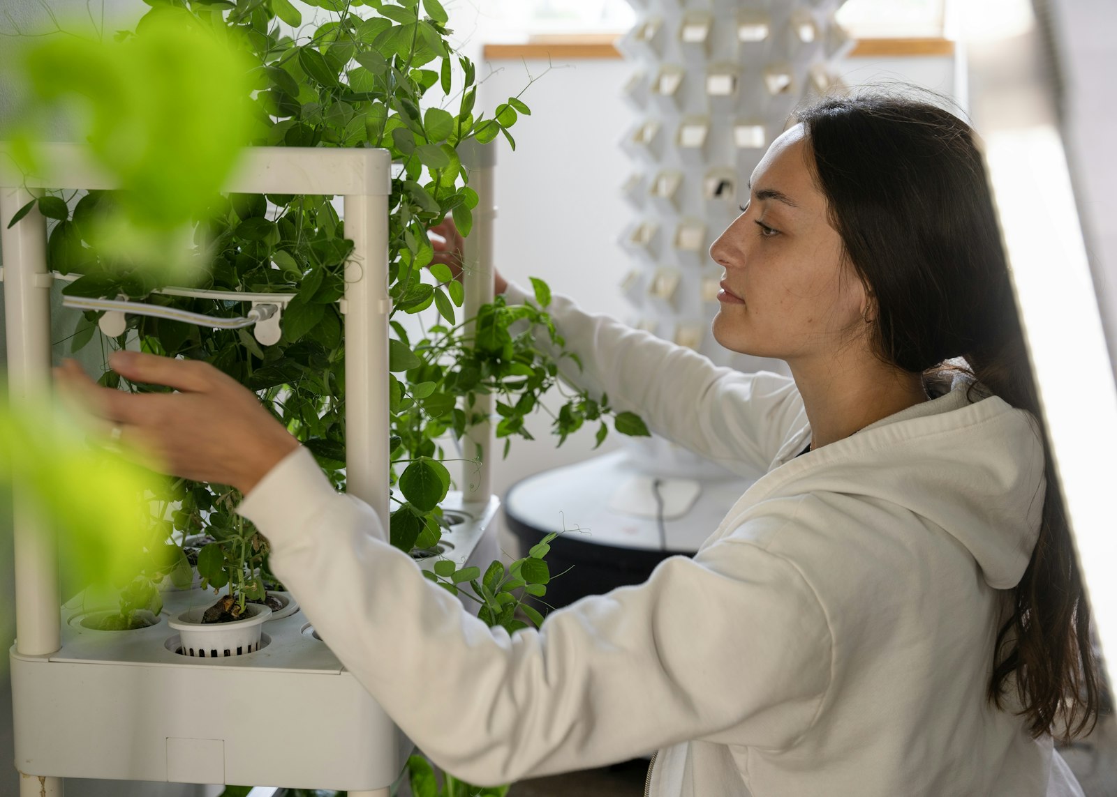 University of Detroit Mercy junior Megi Lazri checks on the vegetables being grown on the aeroponics shelf system.
