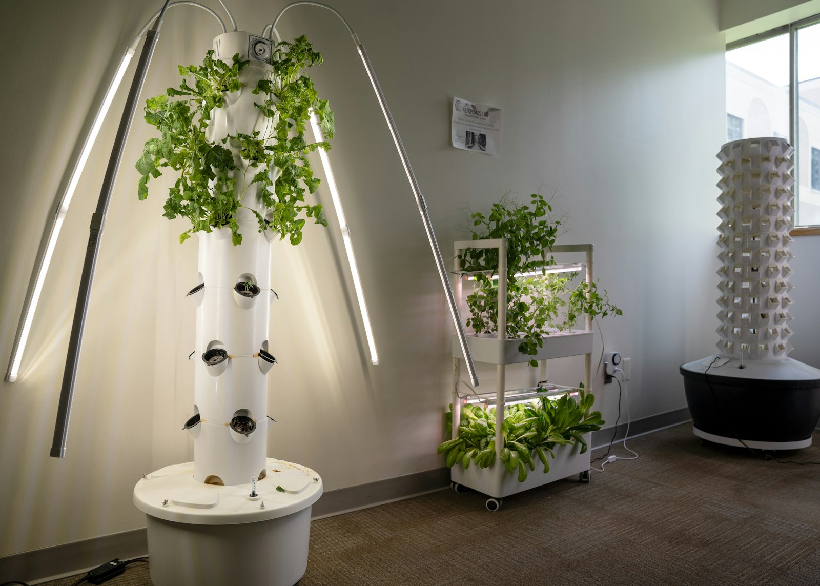 Aeroponics technology uses 90 percent less water and no soil. Alongside two of his students, Olla has set up a small aeroponics garden tucked away in the halls of the college's building.