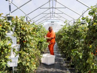 jail hydroponics farming