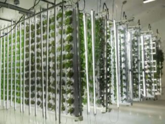 vertical farming winnipeg
